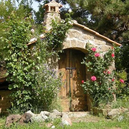 Solidor
