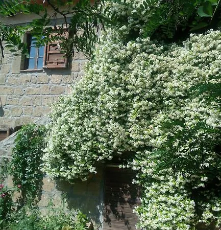 Solidor Vakantieboerderij